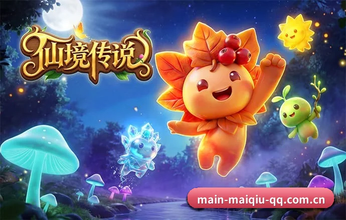买球网 APP 深度功能